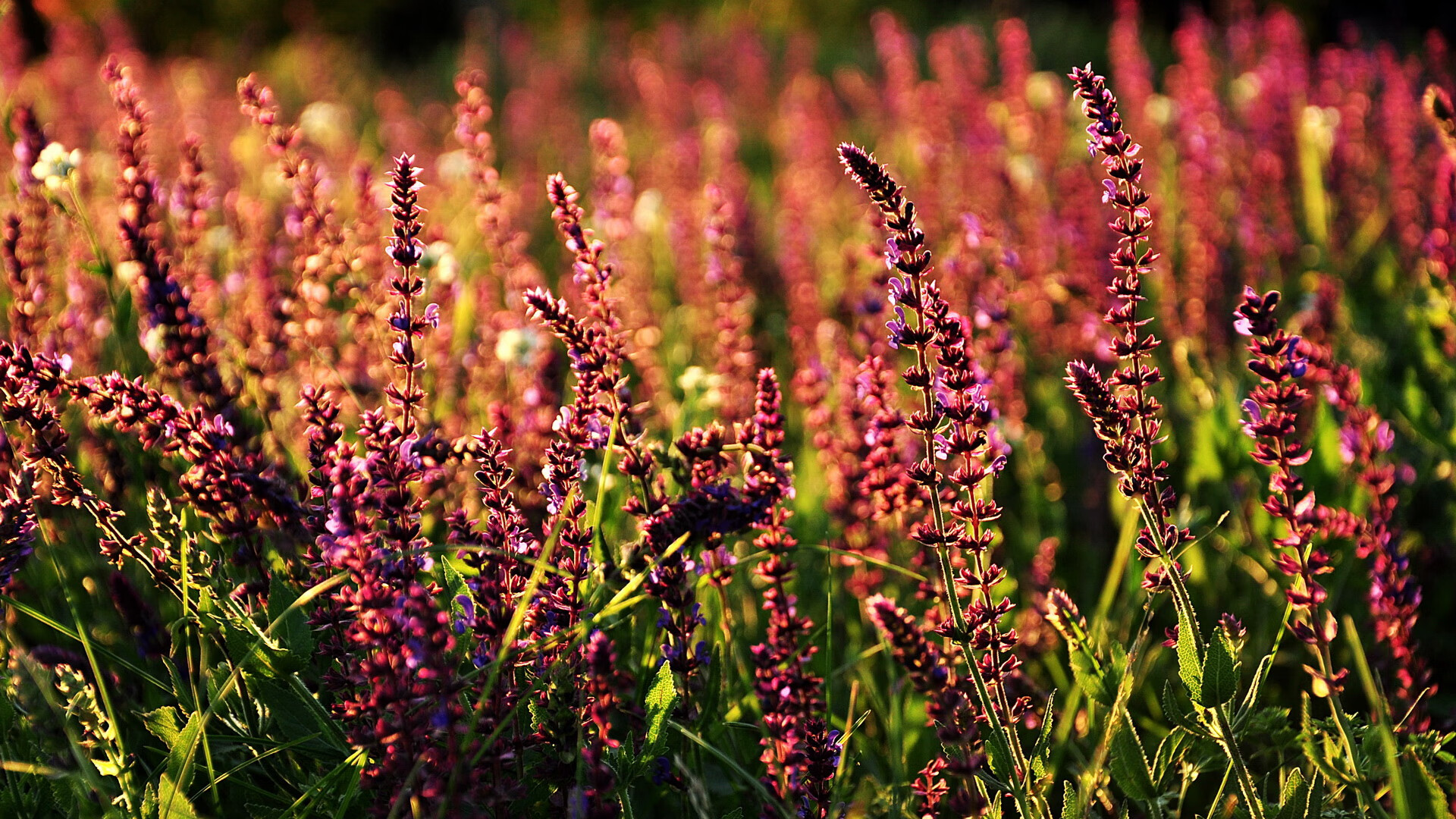 kaiyun app-LCS赛区推进本地化训练体系建设