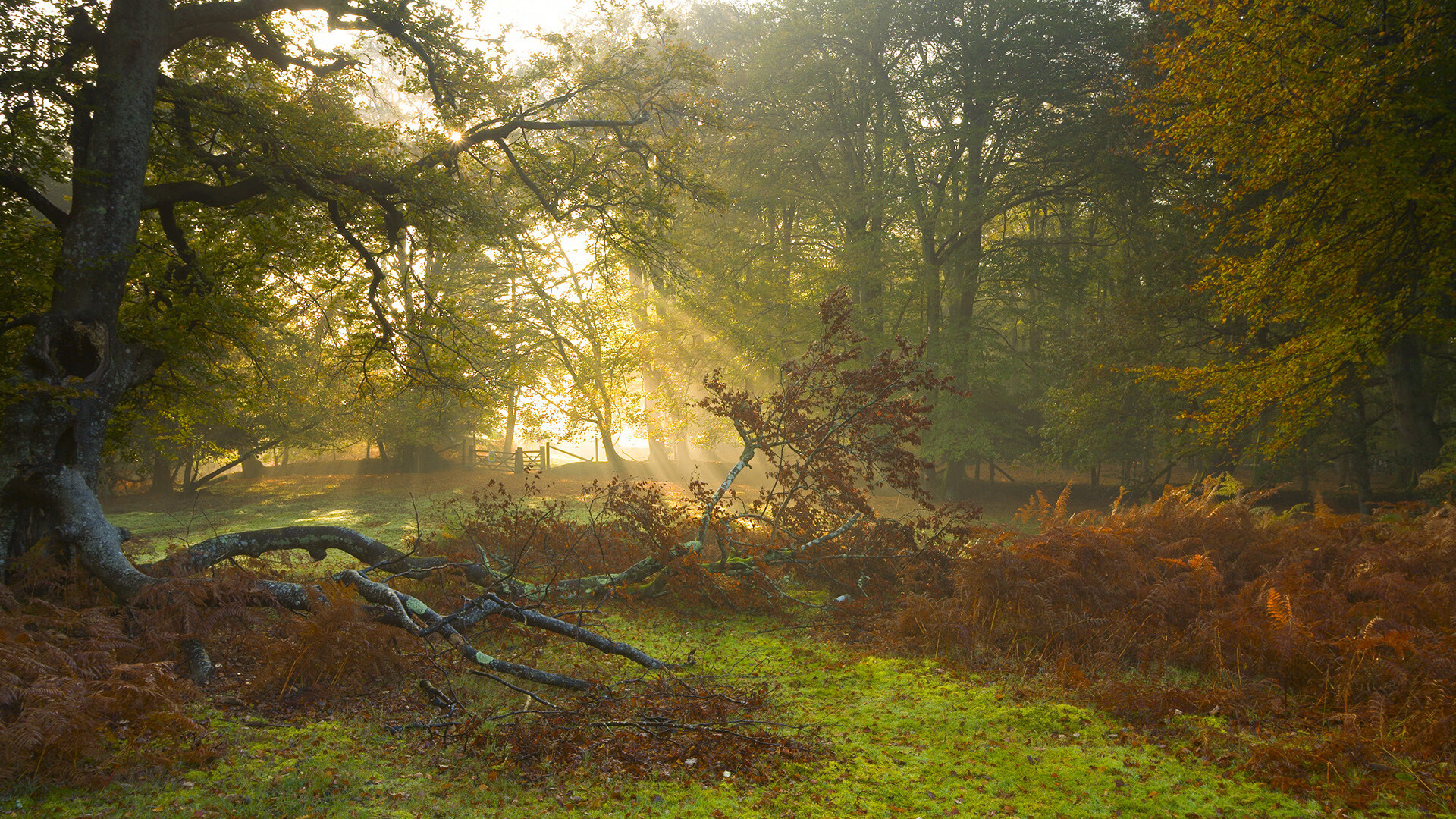 开云体育博彩-亚特兰大主客被利物浦淘汰出局,欧冠亚特兰大对利物浦视频