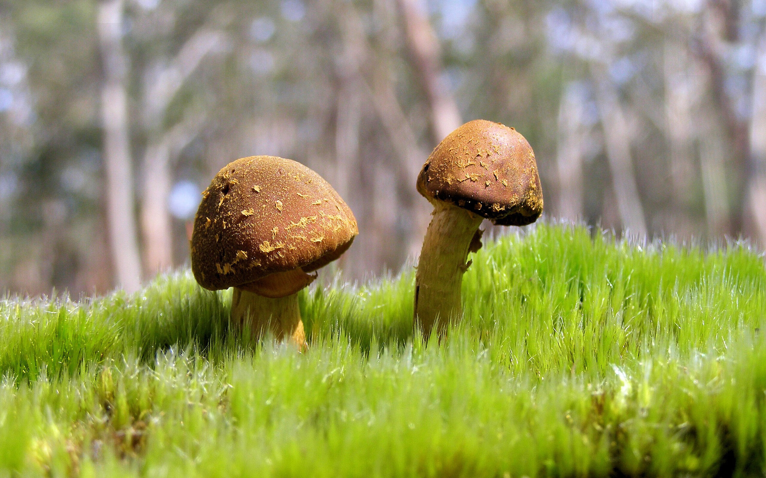 详细阅读:开云体育首页-哈德斯菲尔德遭遇连败,保级形势岌岌可危,哈德斯菲尔德市 开云体育首页-哈德斯菲尔德遭遇连败,保级形势岌岌可危,哈德斯菲尔德市