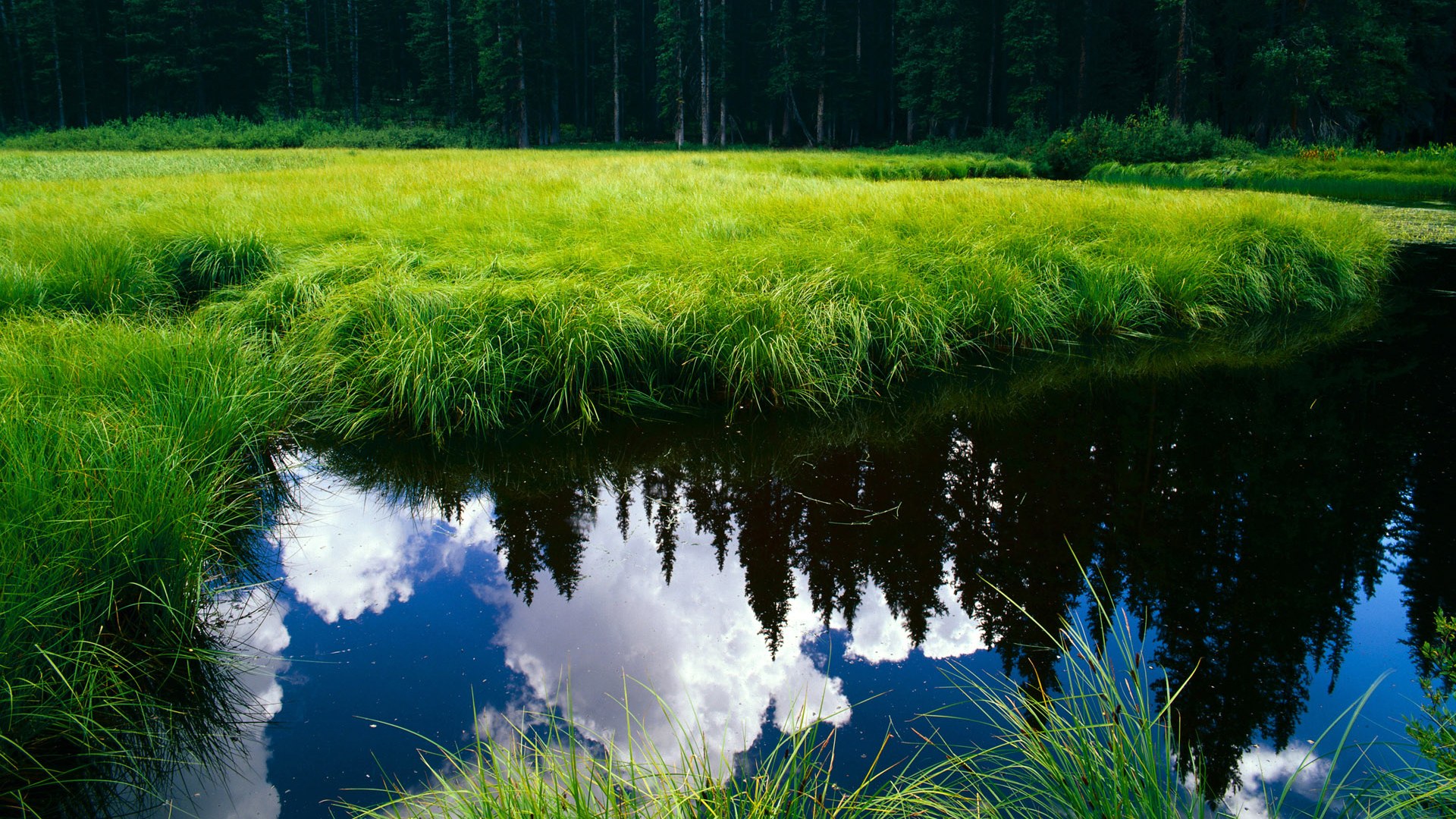 开云体育手机版-巴朗加国王连胜提升球队士气，巴朗加斯