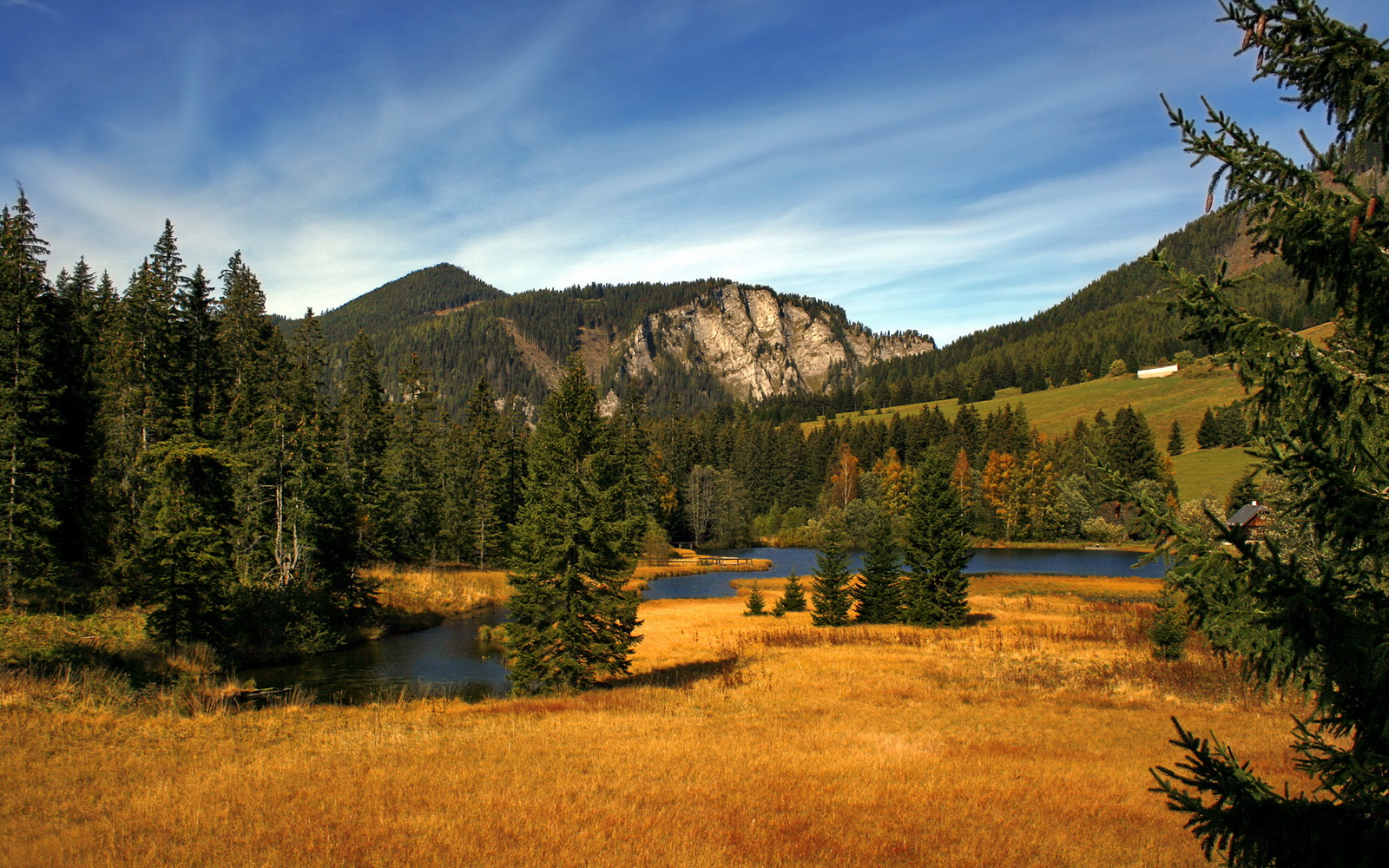 开云体育官网-火箭板凳席贡献亮眼主场告捷,火箭篮板
