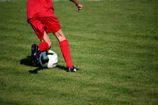 开云体育网址-NBA联盟裁判判罚标准化体系建设,nba裁判是怎么安排的