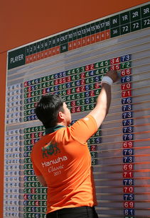 开云体育下载网页版-世界青少年搏击锦标赛中国群英尽展风采，青少年搏击公开赛