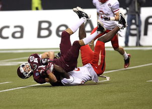 开云体育下载网页版-世界青少年搏击锦标赛中国群英尽展风采,青少年搏击公开赛