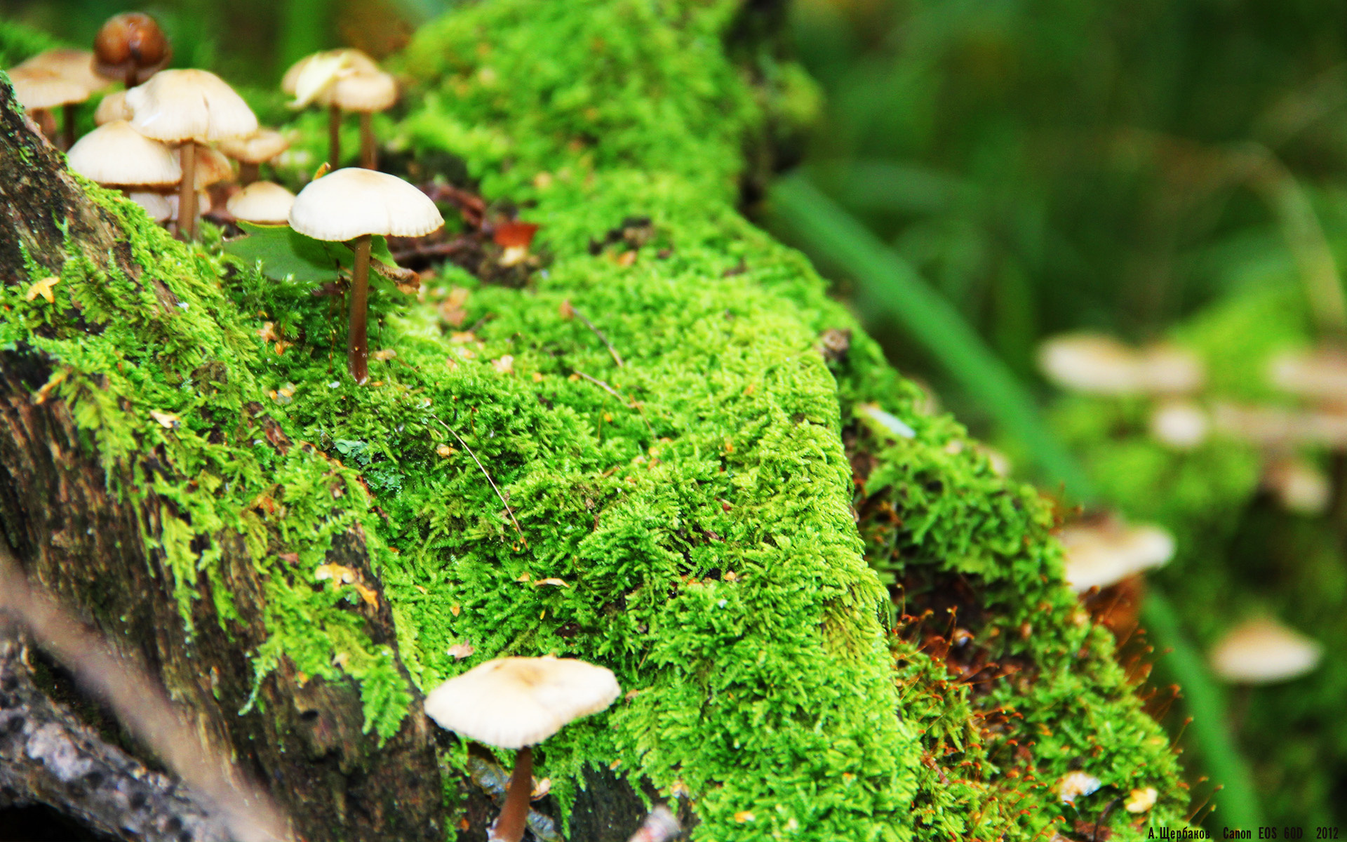 开云体育客户端-体育新闻中心上线智能体育资讯定制推送服务，体育新闻网址大全