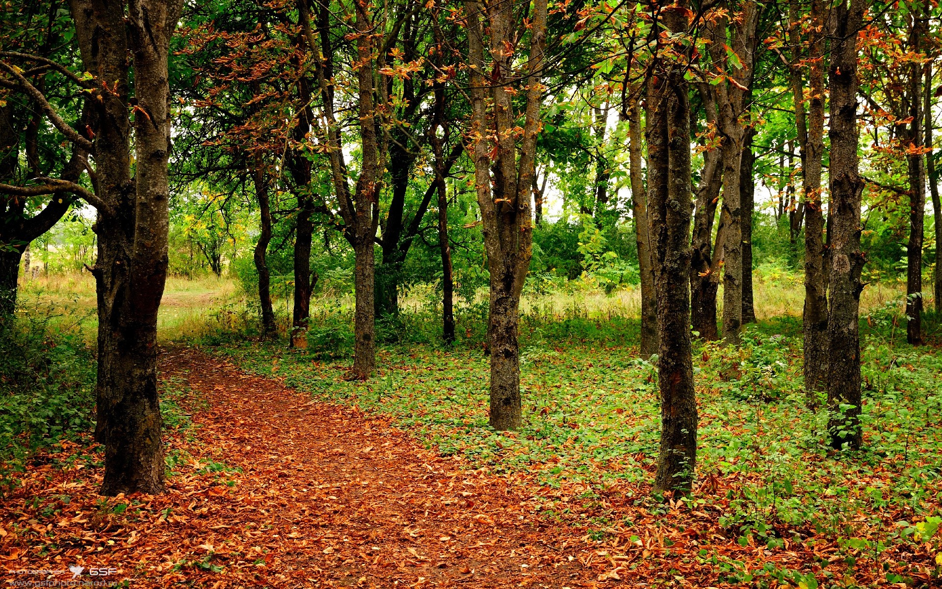开云体育安全平台-基层足球普及力度不足，足球普及率不高的原因