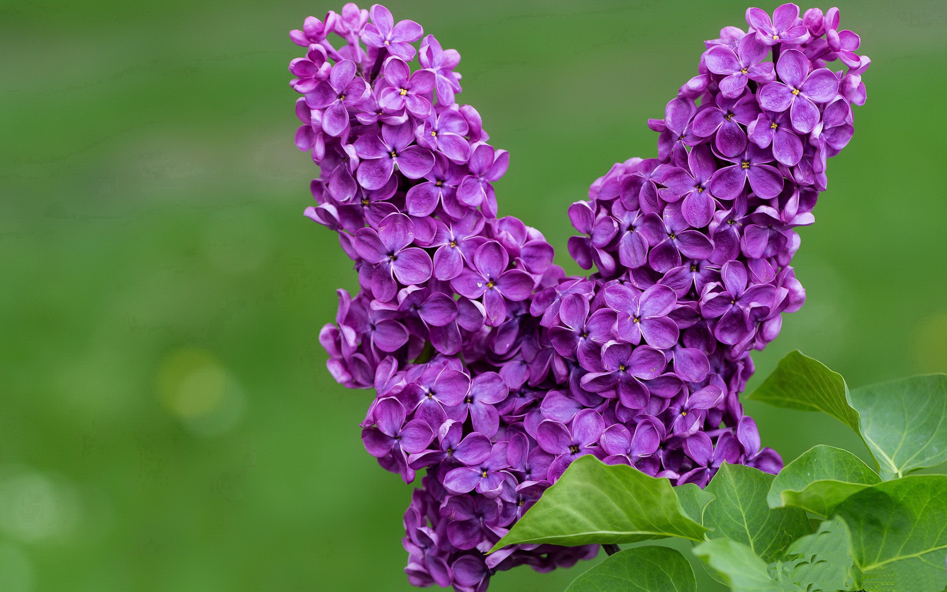 开云体育首页-男子接力惜败仍显风采,男子接力比赛4×100决赛冠军