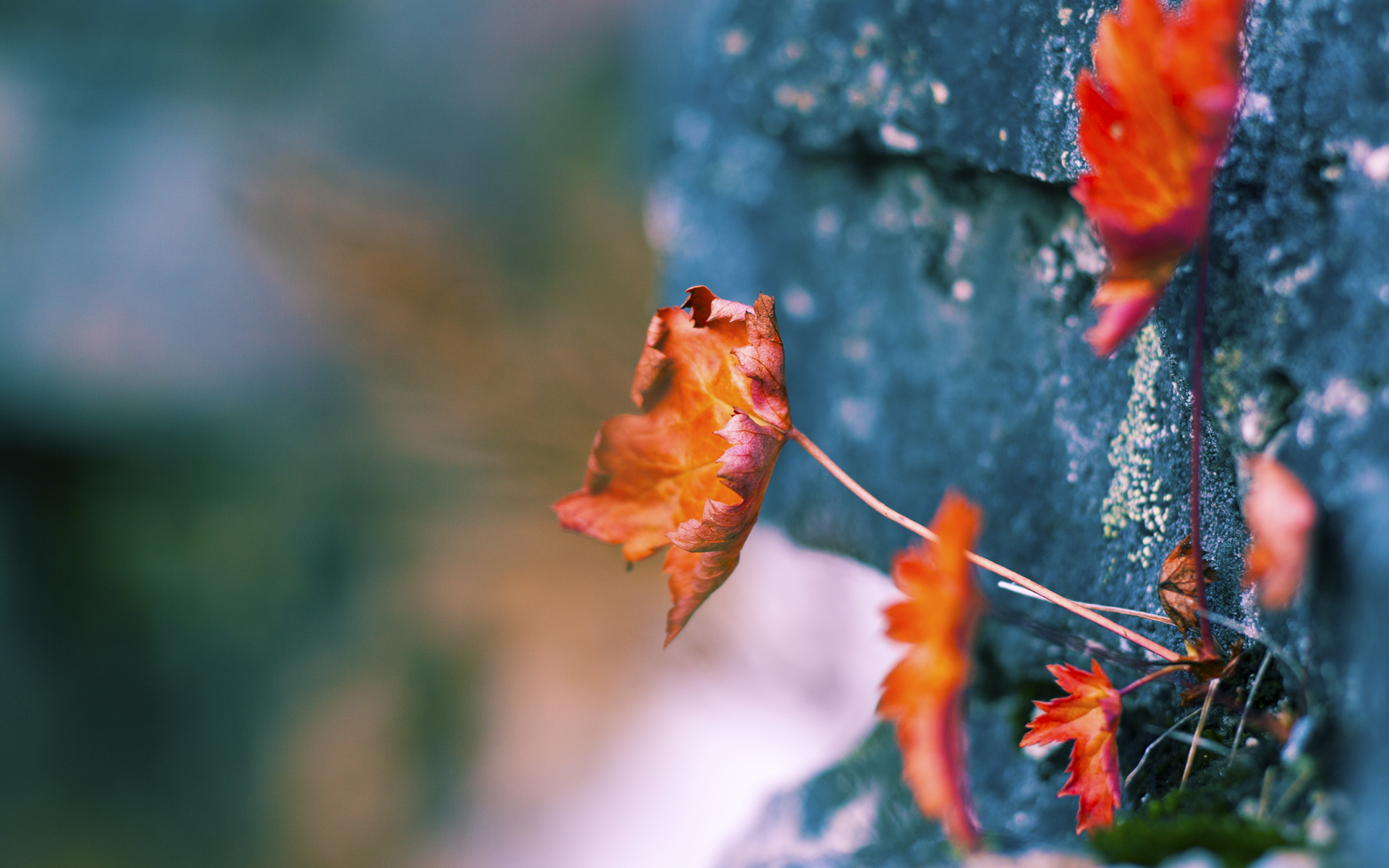 kaiyun sports app-马竞锋线轮换保证火力输出不减,马竞产神锋